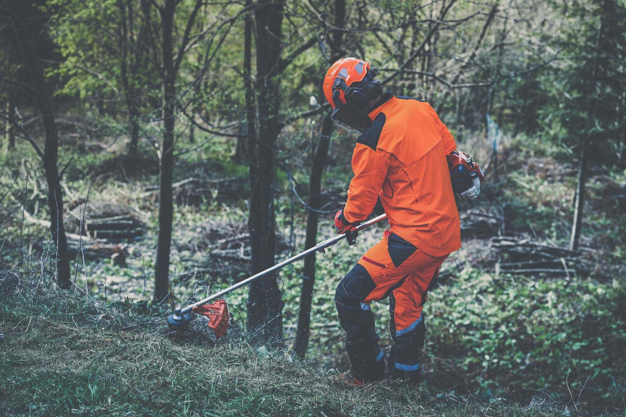 Débroussaillage de terrain à Grasse par Morgan ERETEO JARDINS