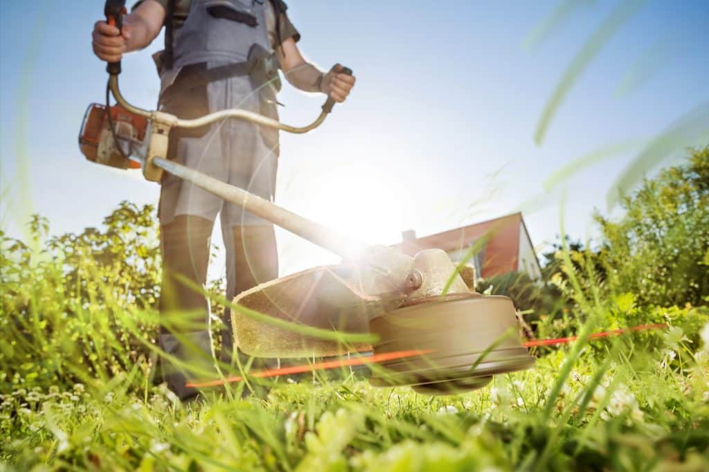 Débroussaillage professionnel avec rotofil thermique sur terrain en friche à Grasse