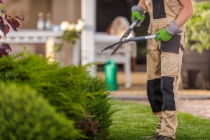 Jardinier professionnel taillant une haie dans un jardin privé à Grasse
