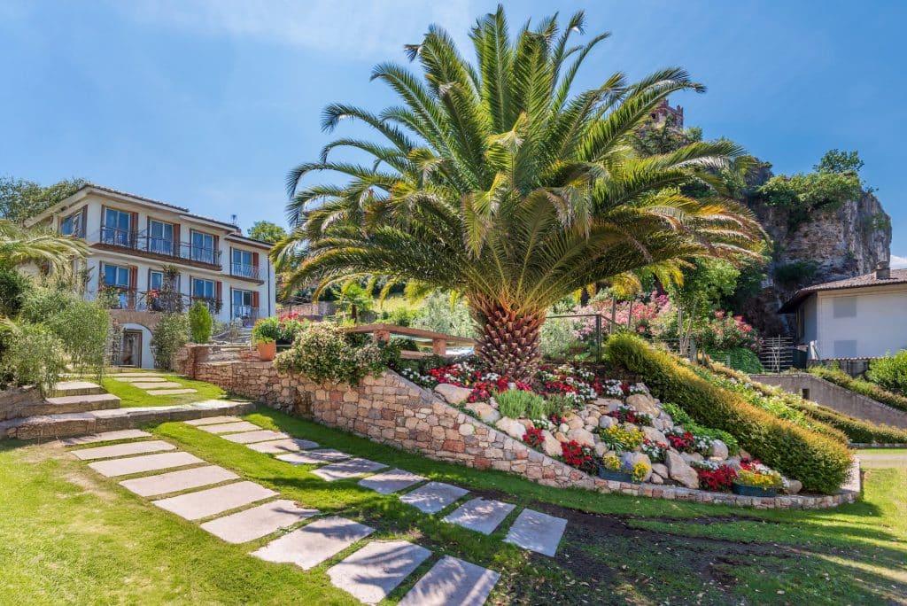 Aménagement de jardin paysager à Grasse avec palmier, massifs fleuris et muret en pierres