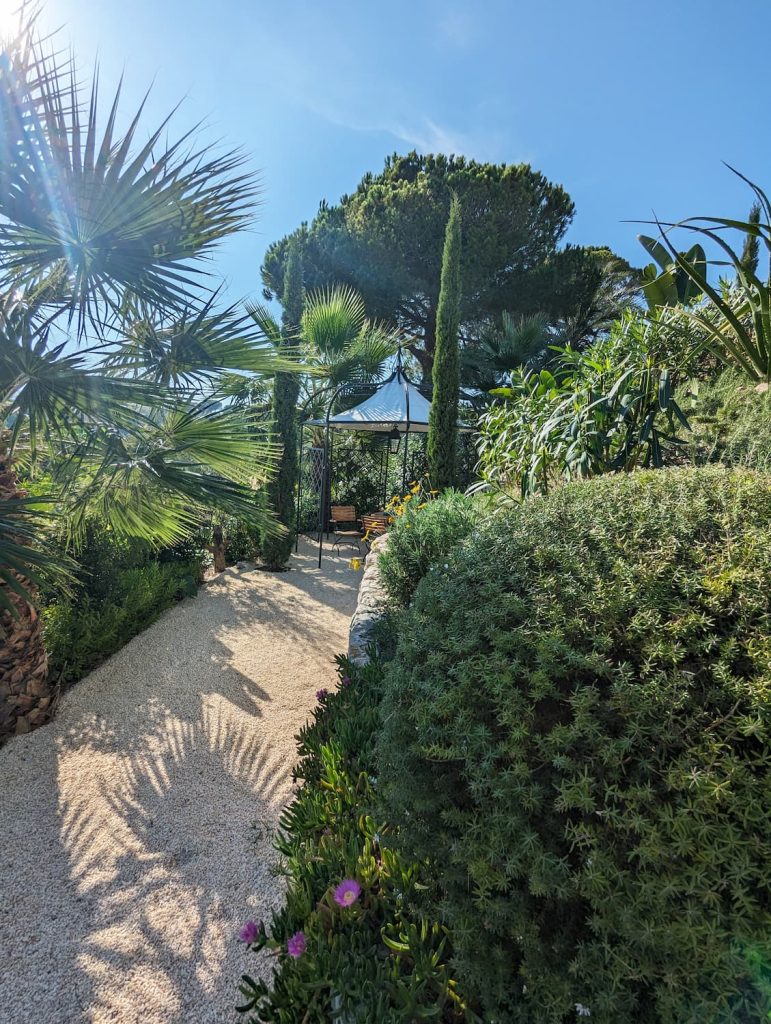 Allée gravillonnée bordée de palmiers, cyprès et massifs méditerranéens dans un jardin paysager à Grasse conçu par Morgan ERETEO Jardins