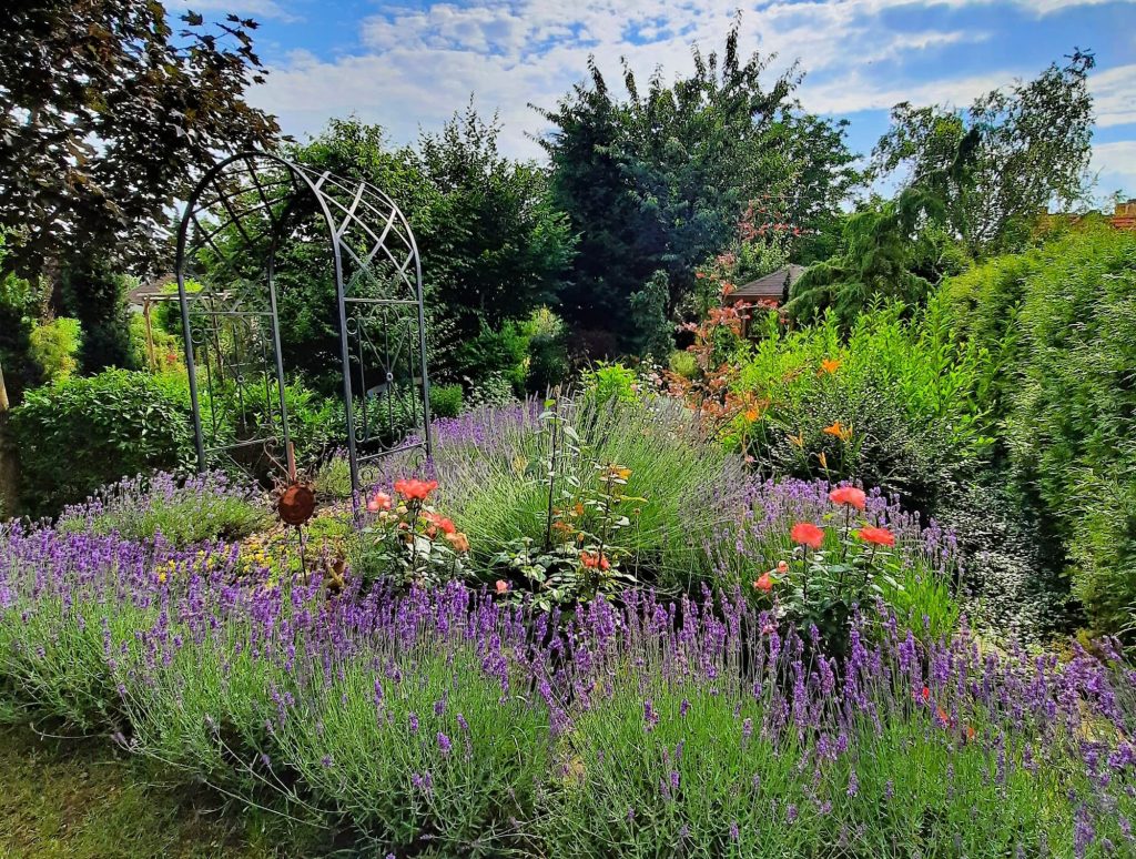 Jardin fleuri méditerranéen aménagé par un paysagiste professionnel à Grasse, Cannes et dans les Alpes-Maritimes.
