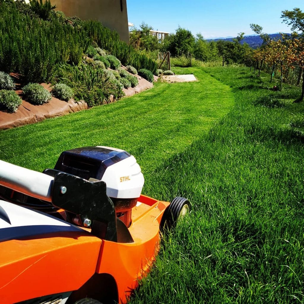 Tonte de pelouse réalisée par Morgan ERETEO Jardins, jardinier paysagiste à Grasse, Cannes et Antibes, entretien de jardin sur mesure.