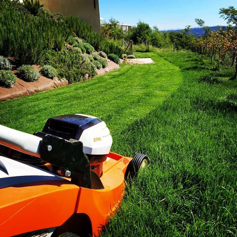 Entretien de jardin à Grasse réalisé par Morgan ERETEO JARDINS